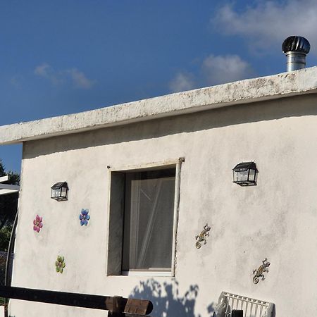 Villa Elvira Country House Belvedere Marittimo Dış mekan fotoğraf