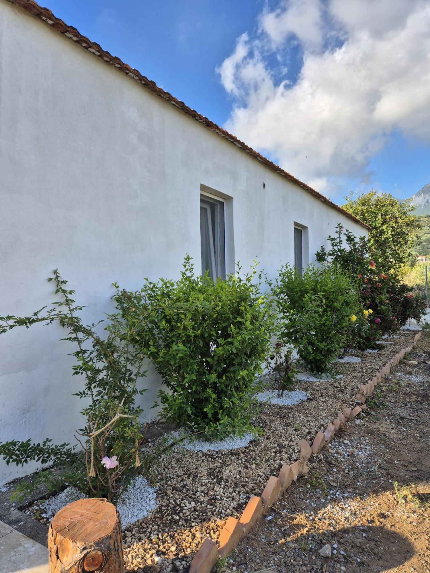 Villa Elvira Country House Belvedere Marittimo Dış mekan fotoğraf