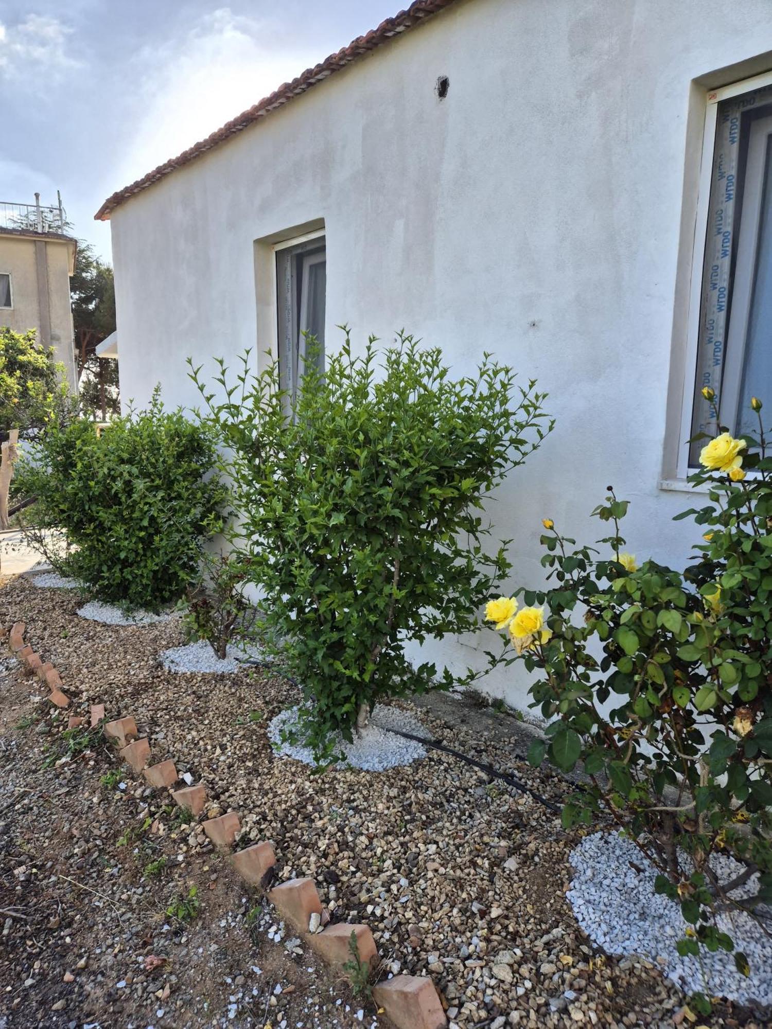 Villa Elvira Country House Belvedere Marittimo Dış mekan fotoğraf